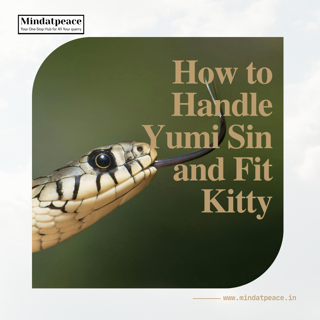 You are currently viewing How to Handle Yumi Sin and Fit Kitty