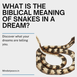 Read more about the article What Is The Biblical Meaning Of Snakes In A Dream