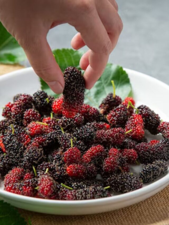 Why Are Mulberry Trees Illegal?